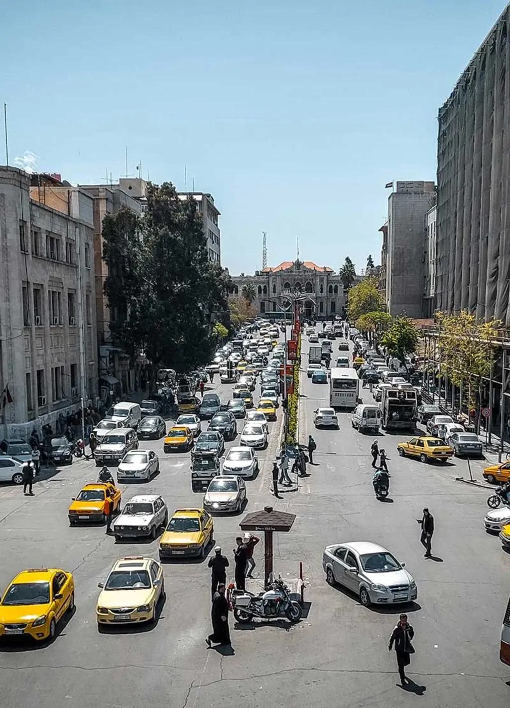 Distribution & Strategic Partnership